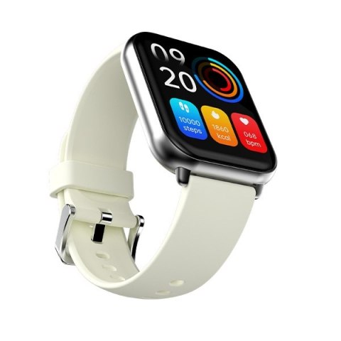 HiFuture smartwatch Zone 2 szary/grey (HSFZ2SL)