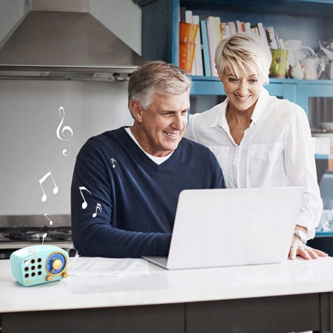 Radio Feegar RETRO blue